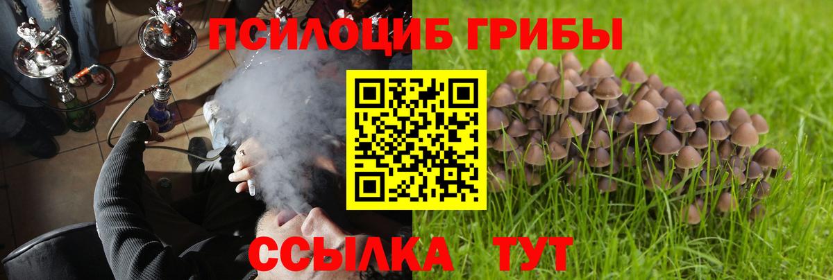 Галлюциногенные грибы мухоморы Котельники